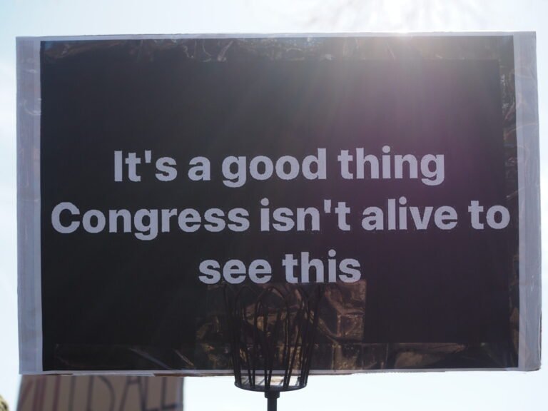 Unfit to Govern: We Need a 25th Amendment for the American Police State