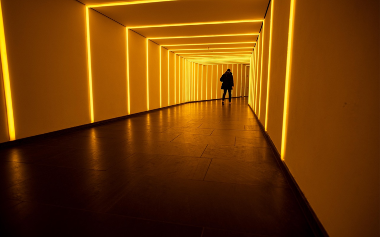 People rely on their existing political beliefs to identify election misinformation