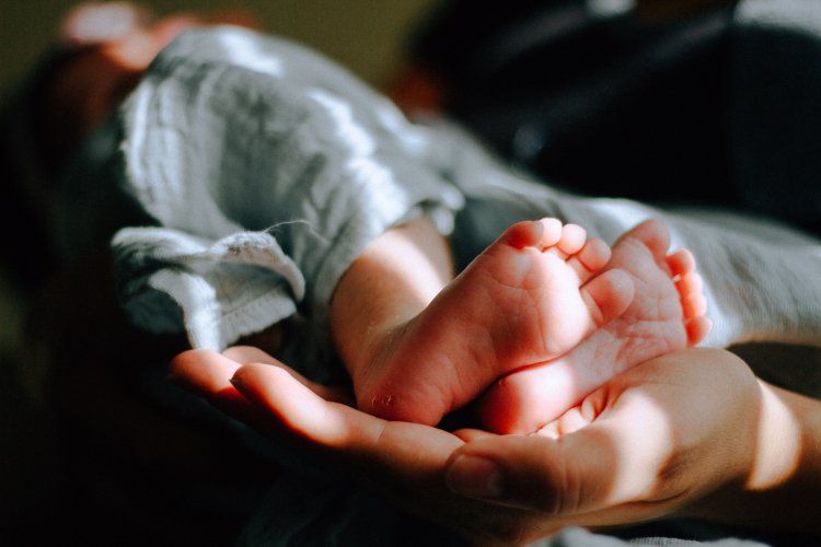 Why Has the Number of Births Declined Everywhere?