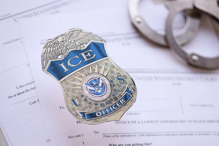 ICE, Immigration, and Libertarians In the Middle