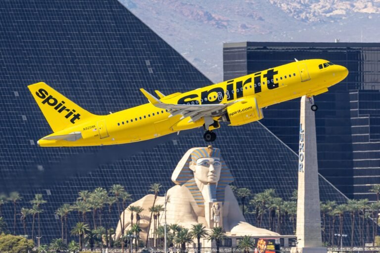 Plunder, War Profiteering, and Spirit Airlines