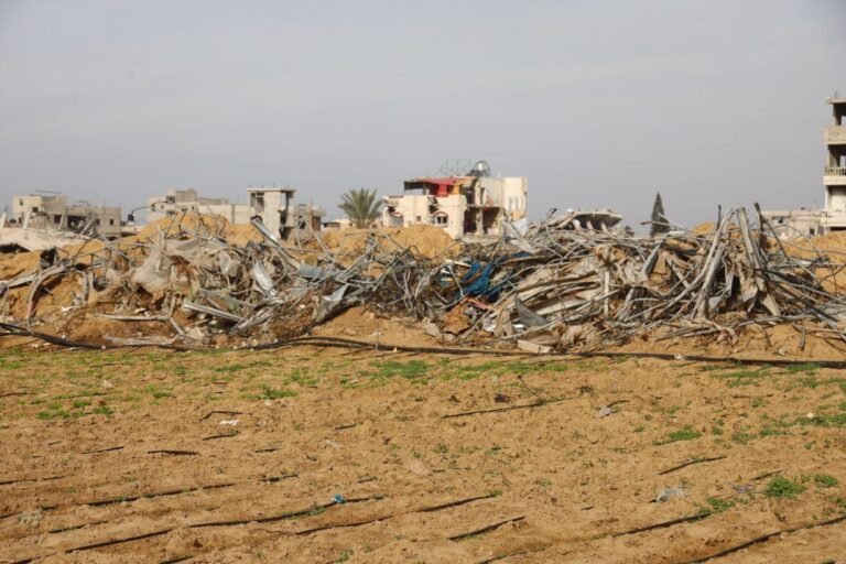 Israel’s Barbaric Ecocide in Lebanon and Gaza