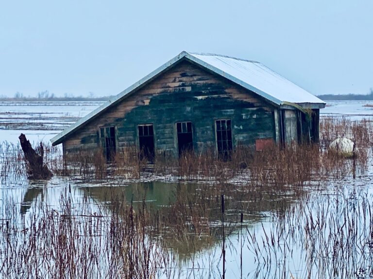 FEMA Review Council Recommends Reducing Federal Disaster Declarations, Backs National Flood Insurance Privatization