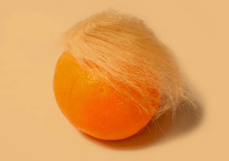 Donald (Disaster) Trump And the Fight for a Humane Future