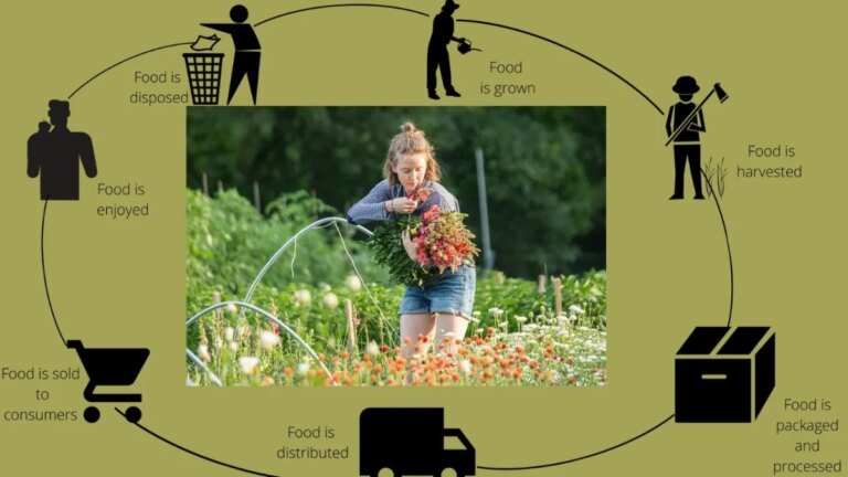 The Architect Making America’s Food System Legible