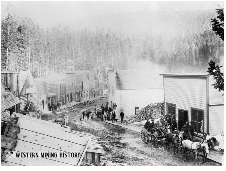 Calling Bull on Forest Service and Timber Industry Propaganda About “Unnaturally Thick Forests”
