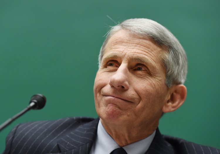 Fauci's Covid Cover-Up Runs 'Deep' Into Intel Community