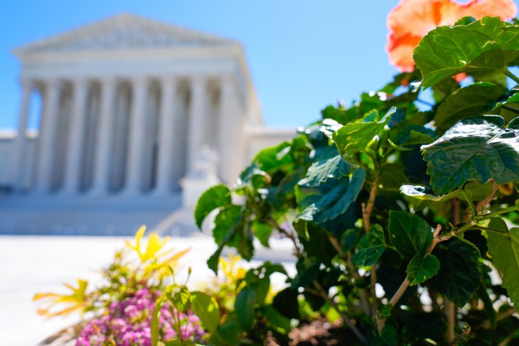 SCOTUS Reverses Inferior Court Supremacy in Alabama