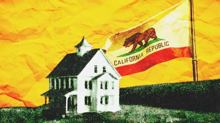 California conservatives champion ‘local control’ until they dislike the results