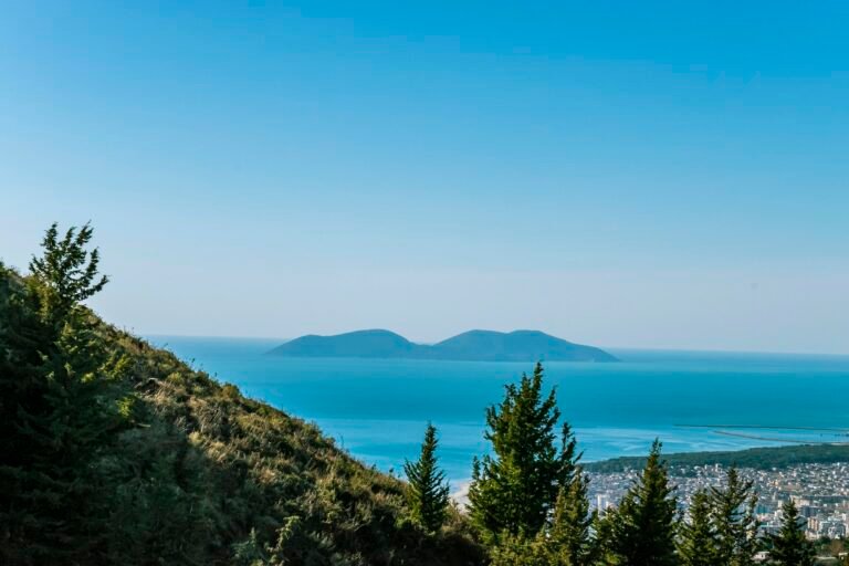 Why Did the President’s Son-In-Law Acquire A Nuclear Fortress in Albania?