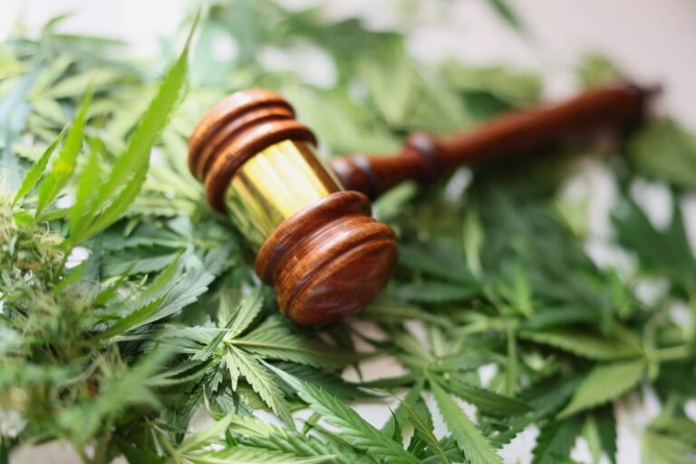 Supreme Court Ends Federal War on Gun-Owning Potheads