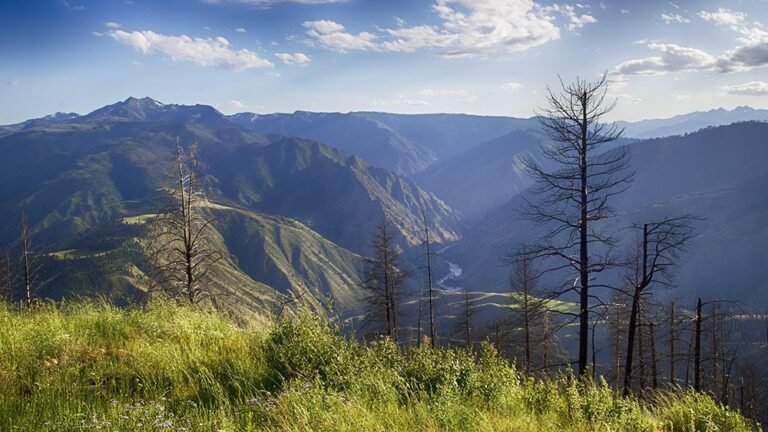 Chainsaws Coming to a Wilderness Near You, in Violation of Federal Law?