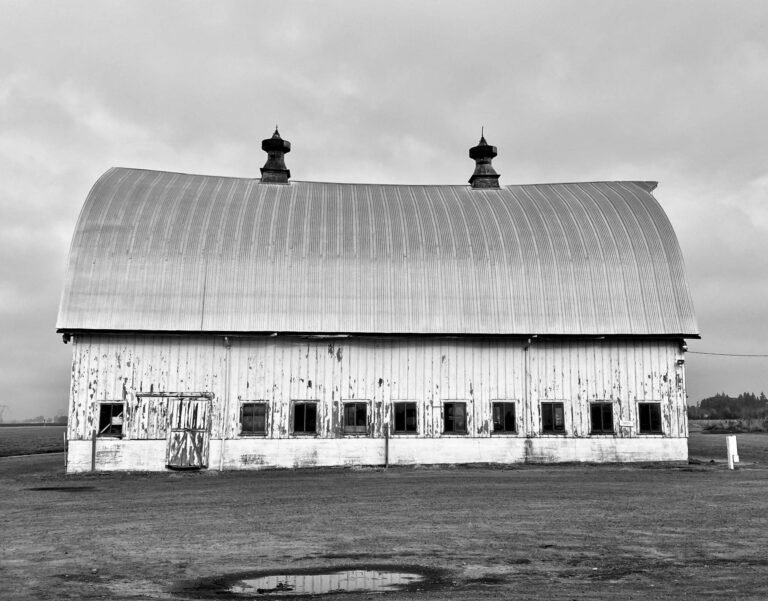 Mark June Dairy Month with Industry-Wide Reform