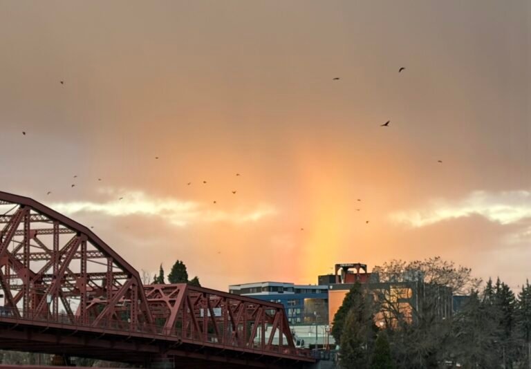 Under the Flight Paths – CounterPunch.org
