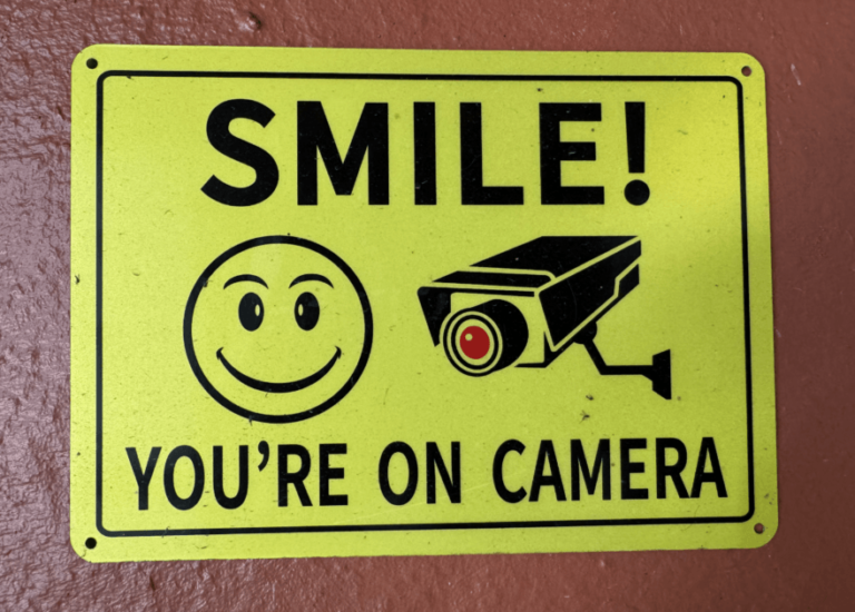 America the Unfree—Home of the Policed, Surveilled and Occupied