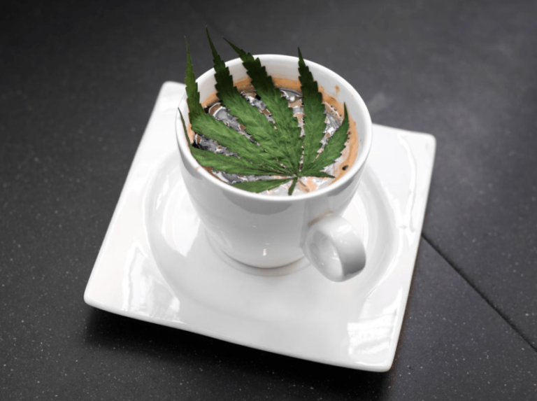 Tennessee’s Ban on THCA – CounterPunch.org