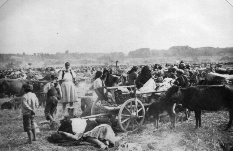 What is the Lesson of the Serbian Twentieth Century?