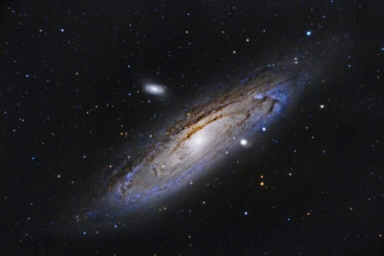 Animals in the Universe – CounterPunch.org