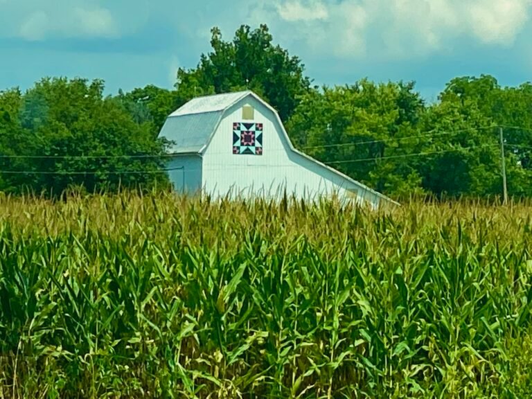 Pesticides and Agriculture: How Organic and Conventional Farms Differ
