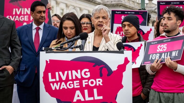 Ro Khanna’s $25 ‘living wage’ bill would result in job losses