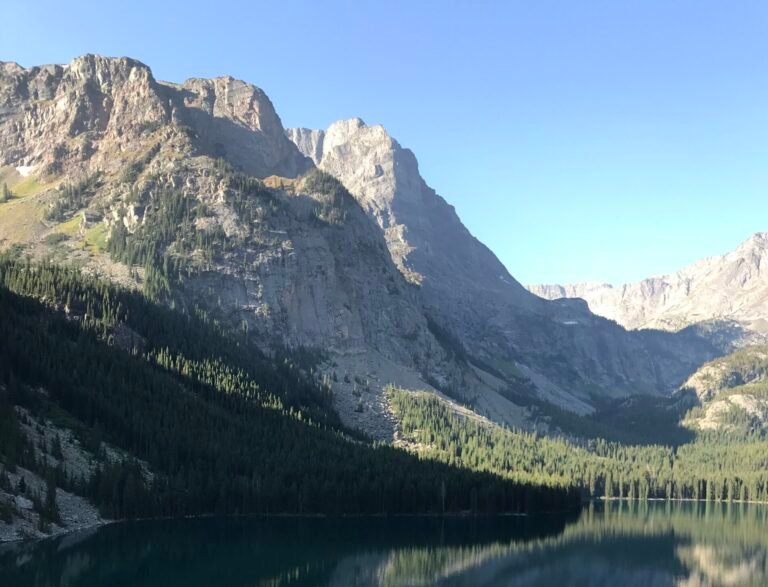 Vampire Planet: The Billionaire Invasion of Montana