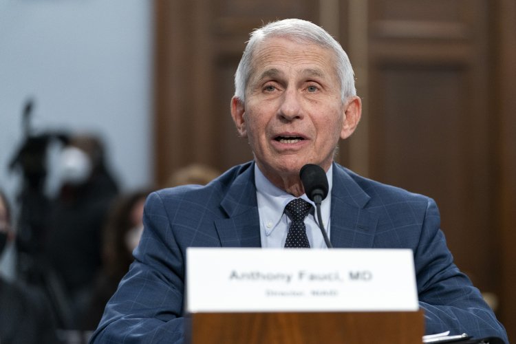 Anthony Fauci Was the ‘Big Head’ of Covid Response