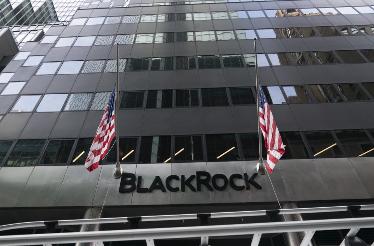 Dark Cloud Over Home Sales–and BlackRock Is Involved