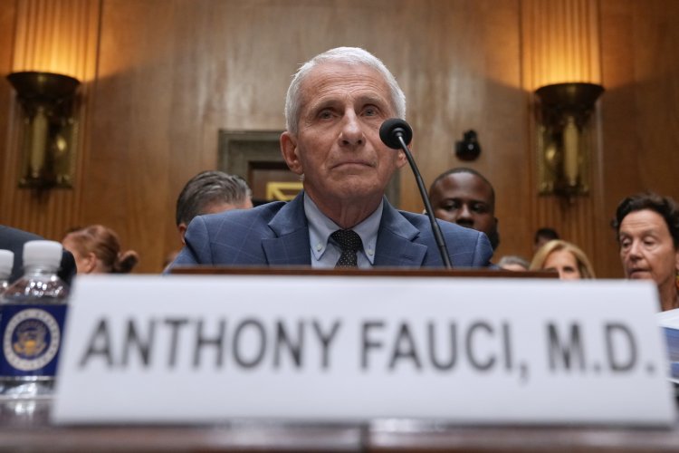 What We Learned From the Theatrical Fauci Hearing