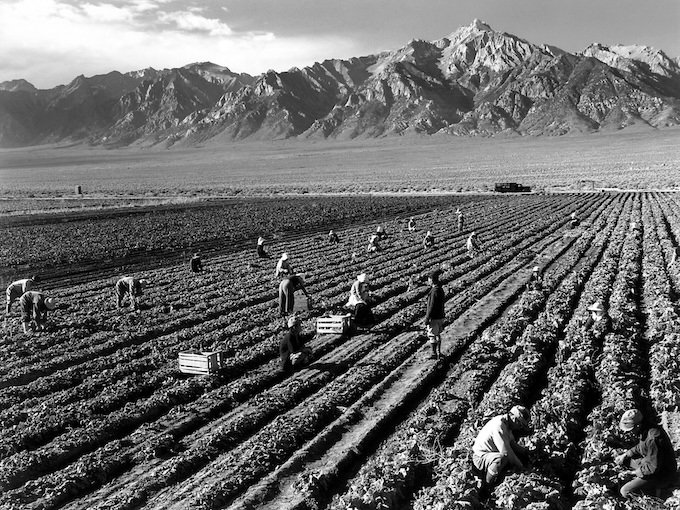 The Exploitation of America’s Farmworkers