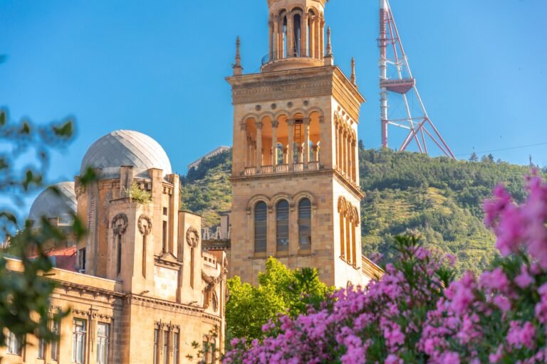 Coming Up Roses: Revolutions and Regime Change in Post-Soviet Georgia
