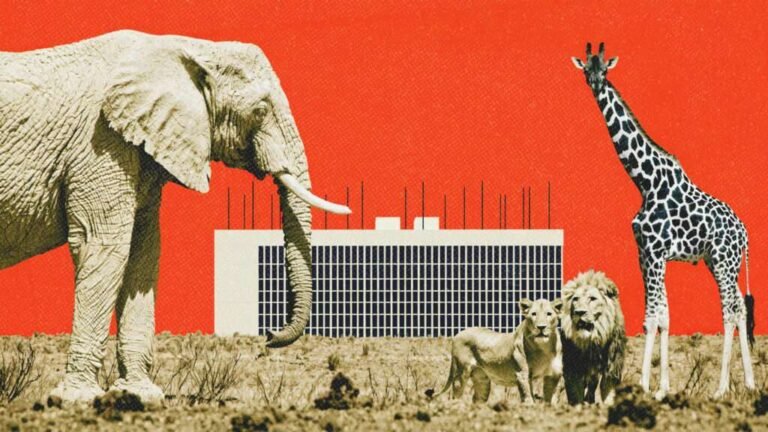 Nashville might use eminent domain to stop a data center from irritating zoo animals