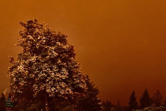 Trump Wildfires: The Arsonist Complains About Smoke
