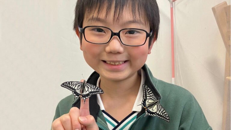 (VIDEO) The Japanese Kid Who Showed Butterflies Retain Their Caterpillar Memories