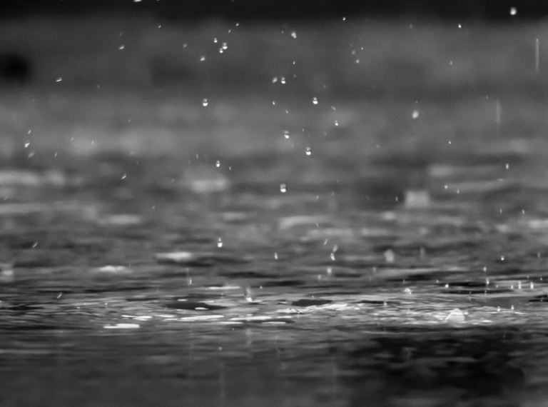 The Storm is Here: Blame It on the Rain and the American Lügenpresse