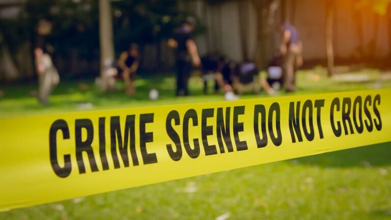 The homicide rate has dropped to historic lows. No one really knows why.
