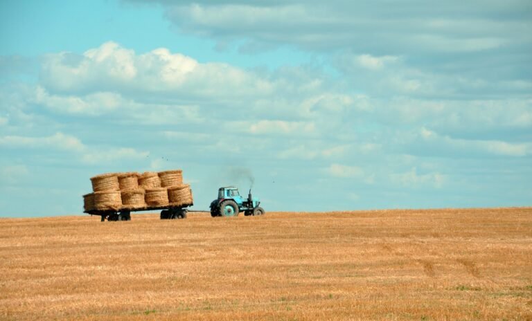 Extreme Heat Takes Farming to the Brink