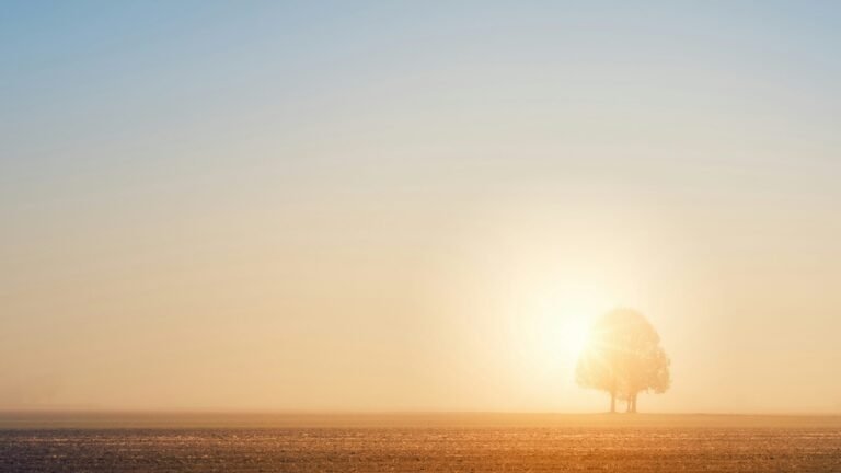 The Mad Scramble to Dim Sunlight
