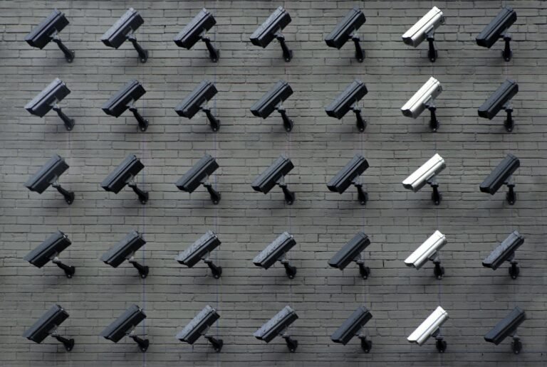 The New Conquistadors: Surveillance Capitalism and the Digital Frontier Between Your Ears