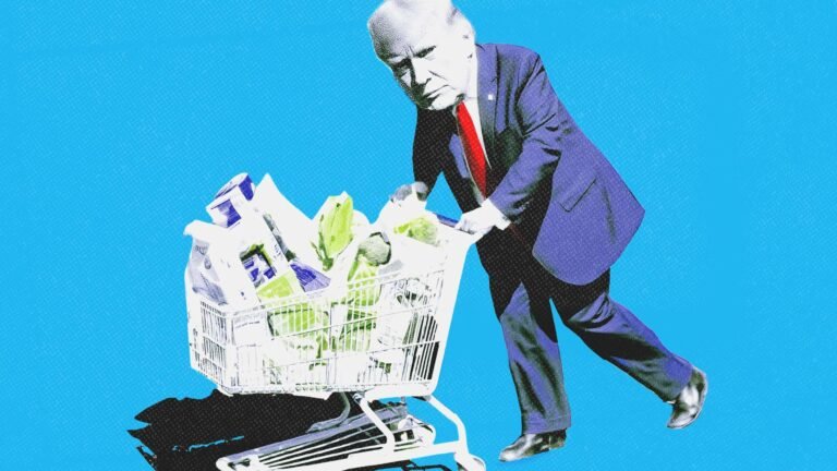 States will soon face huge penalties for their food stamp mistakes