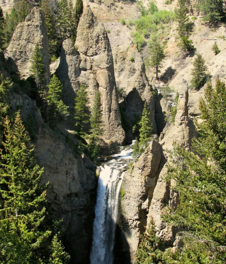 Expand Yellowstone National Park – CounterPunch.org