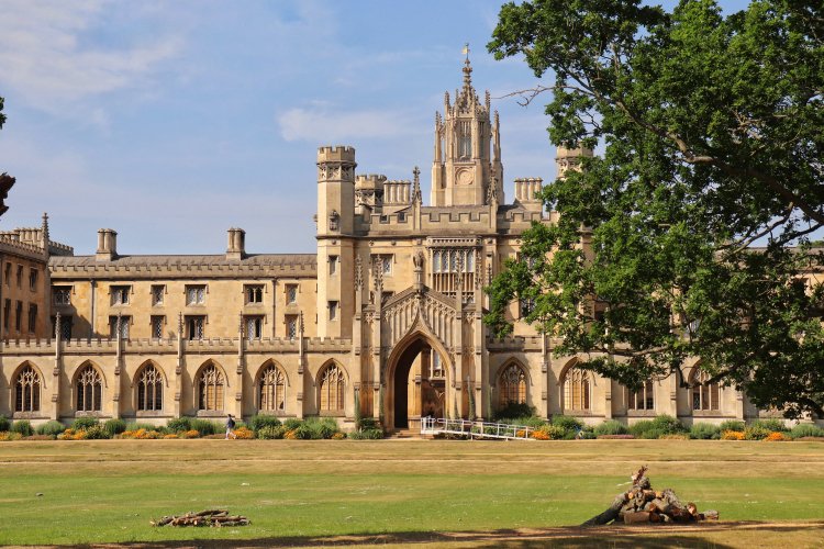 Farewell, Professor Arday–Cambridge Grift Ends