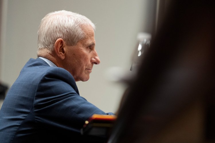 Former Fauci Adviser Pleads Guilty in Covid Records Scheme