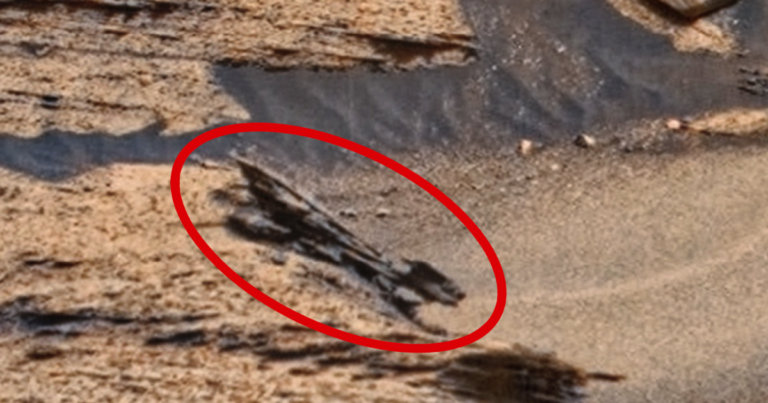 Crashed Drone on Planet Mars In NASA rover Photo, UFO UAP discovery News. 📰 VIDEO!