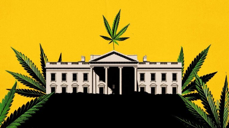 The White House’s push to pause the hemp ban smells like cronyism