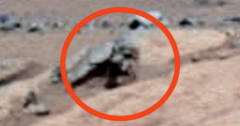 2 Meter Tall Face Found On Mars Near Spirit Rover, NASA Index, UFO UAP Sighting News.