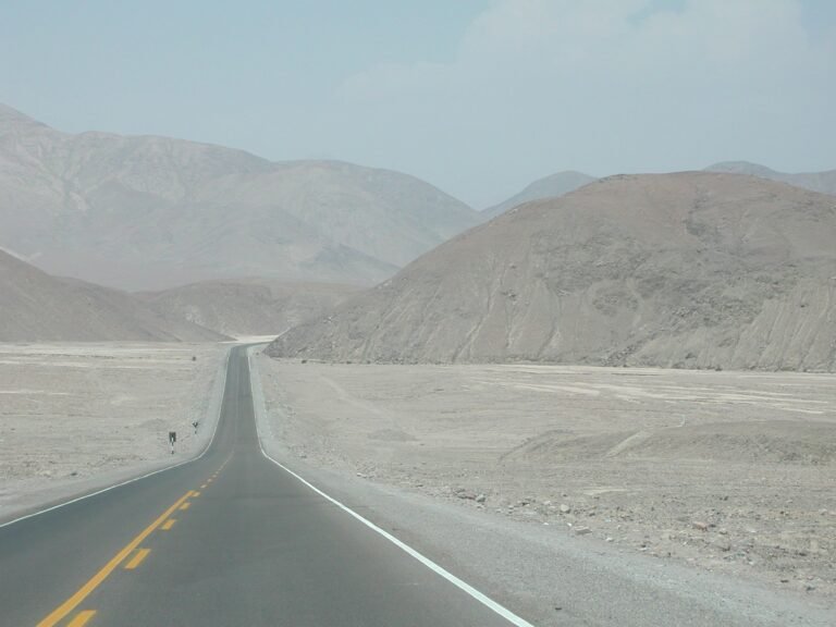 Pan Am Highway Blues – CounterPunch.org