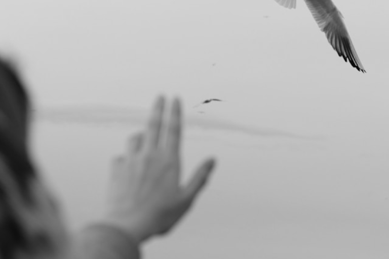 If Only We Could Fly Away from Donald Trump