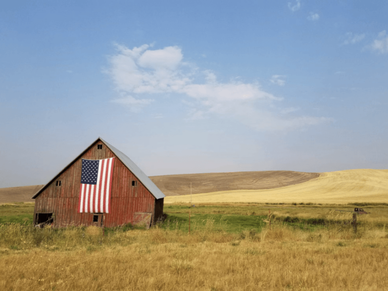 American History and American Amnesia