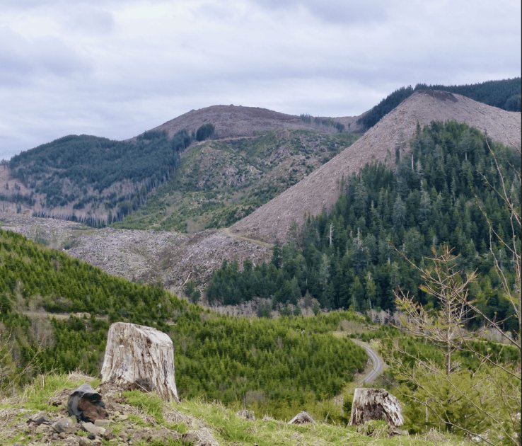 Trump’s Move to Rescind Roadless Rule Rewards Logging and Mining Interests