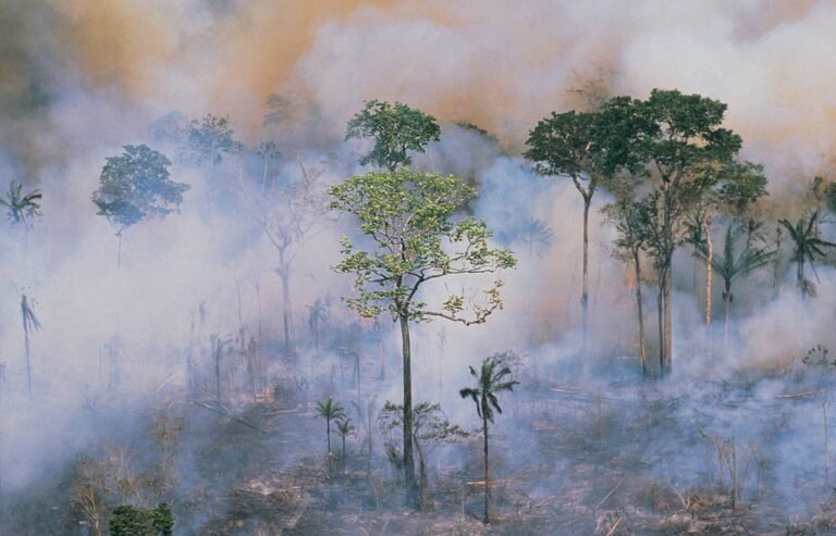 Why Write About Climate Change?
